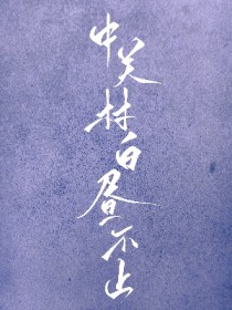 中关村白昼不止